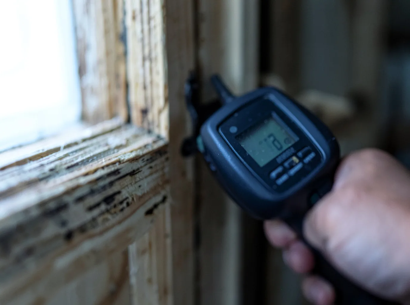 Moisture Inspection And Documentation in Ruckersville, VA